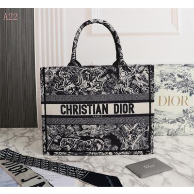 Dior Bags AAA 037